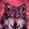 аватар: wolfee